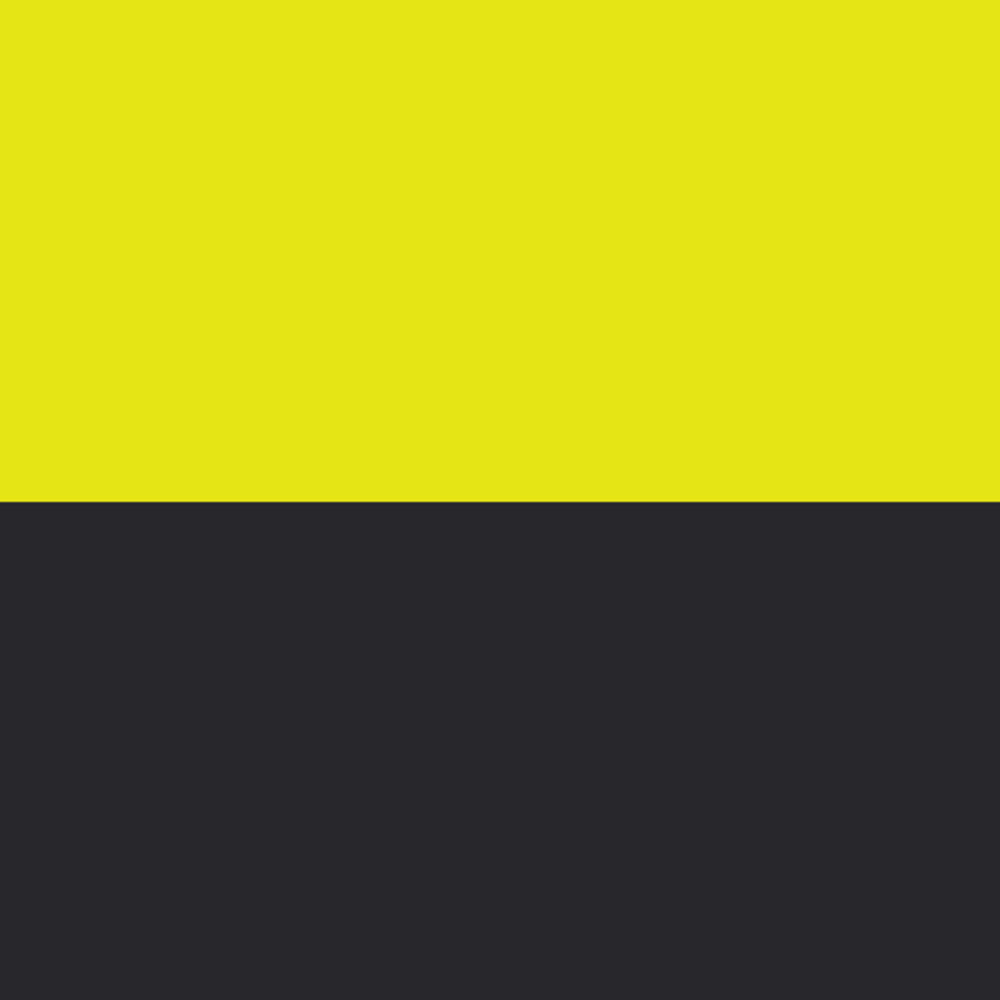 Color_20Swatch_AEI_ScreamingYellow_Black2026-03-19.jpg